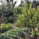 לינה וארוחת בוקר Romano, 4*
