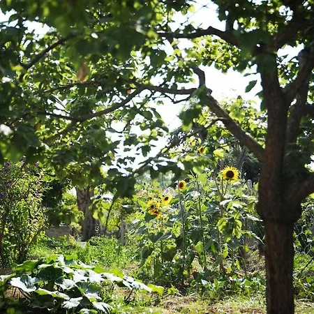 Romano, לינה וארוחת בוקר