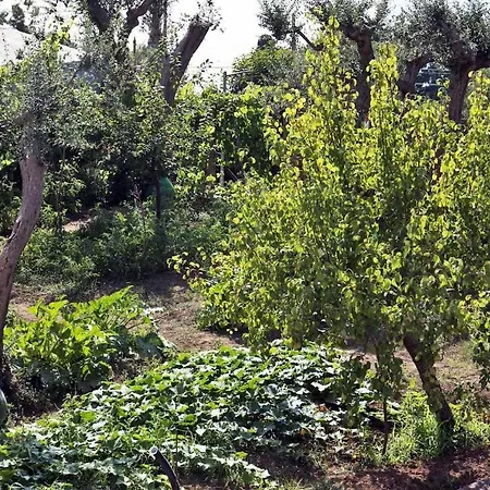 Bed & Breakfast Romano, 4*