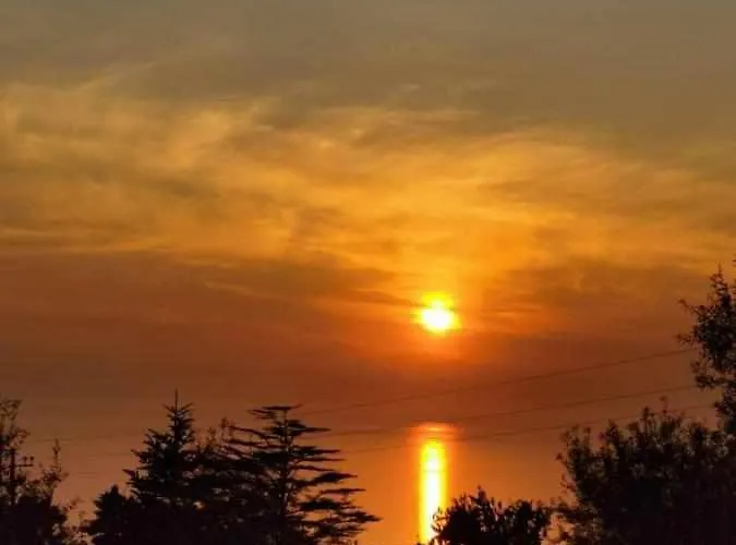 Romano, Bed & Breakfast Anacapri (Isola di Capri)