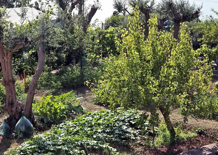 Bed & Breakfast Romano, 4*